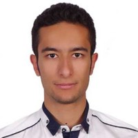 Seyed-Sajad Hamedheydari