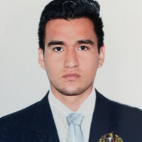 Waldir Palomino  Cancino