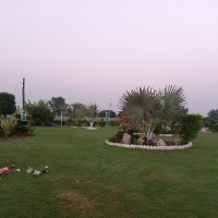 Afzaal Ahmad