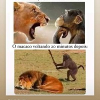 Leonardo Gomes