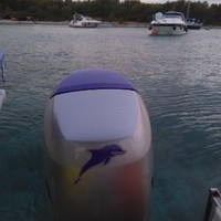 Vendulka Procházková