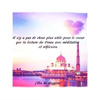 Tezib Amiens