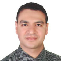 Mohamed Ibrahim