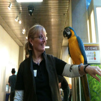 Vickie Corkhill