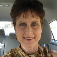 Judy Ognibene
