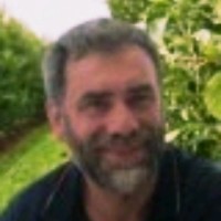 Yannick M