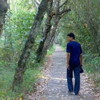 Vijesh Kumar