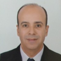 Tarek Gamal