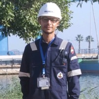 Ziad Mohamed halawaa