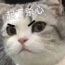 张紫寒