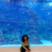 Anshu Khare