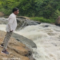 Rex Praveen Surveyor