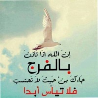 Ahmed Elkhidir