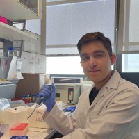 Ismael Riquelme Lucas