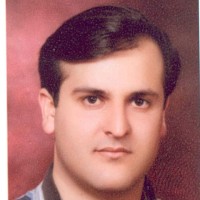 mehran feizi