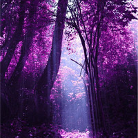 Abdur-Rahmaan Ibn Shabeer Majid