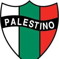 Amar Palestine
