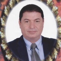 abdullah ayoub