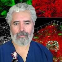 Xavier Alvarez