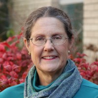 Sally Lewis, Nbct