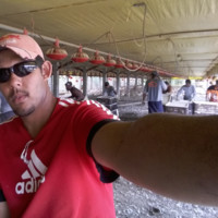 Éverton Mano