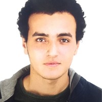 Moamen Amin