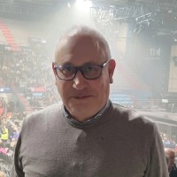 Vincenzo Anelli