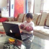 苗晓飞