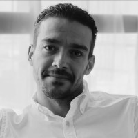 Mohamed T.M. El Hagrasi