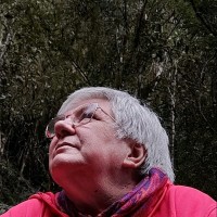 Claudete Beise Ulrich