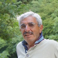 Domenico Gaetani
