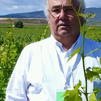 Jose Luis Quiroga Souto