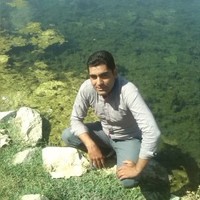 Alireza Shorakaei