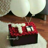 Maysa Designe