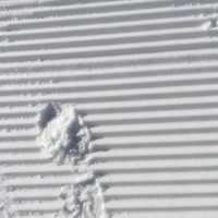 Joan Fernandez Oromi