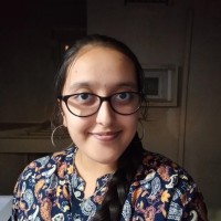 Vindhya V