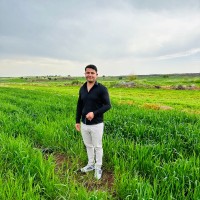 Ali Aydoğdu