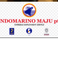 Recruitment Indomarinomaju