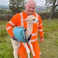 Stuart Currie