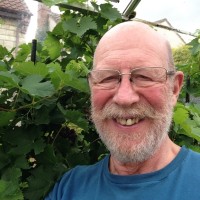 Raymond Ellis