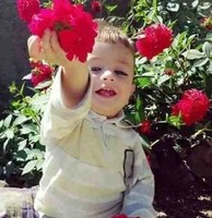 سجاد احمد
