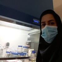 Maryam Rajabi