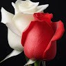 Mandeep Judge