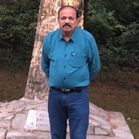 Dilip Pitale
