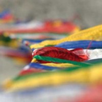 Pravab Dhakal