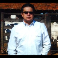 Gilberto Cunha Machado Neto