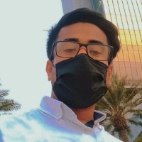 Muhammad Rafi Arab