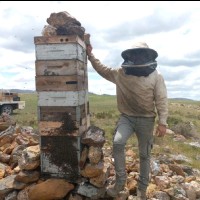 Heinrich Van Niekerk