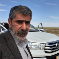 Ali Mahmood