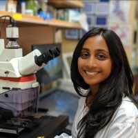 Shreena Nisha Kalaria